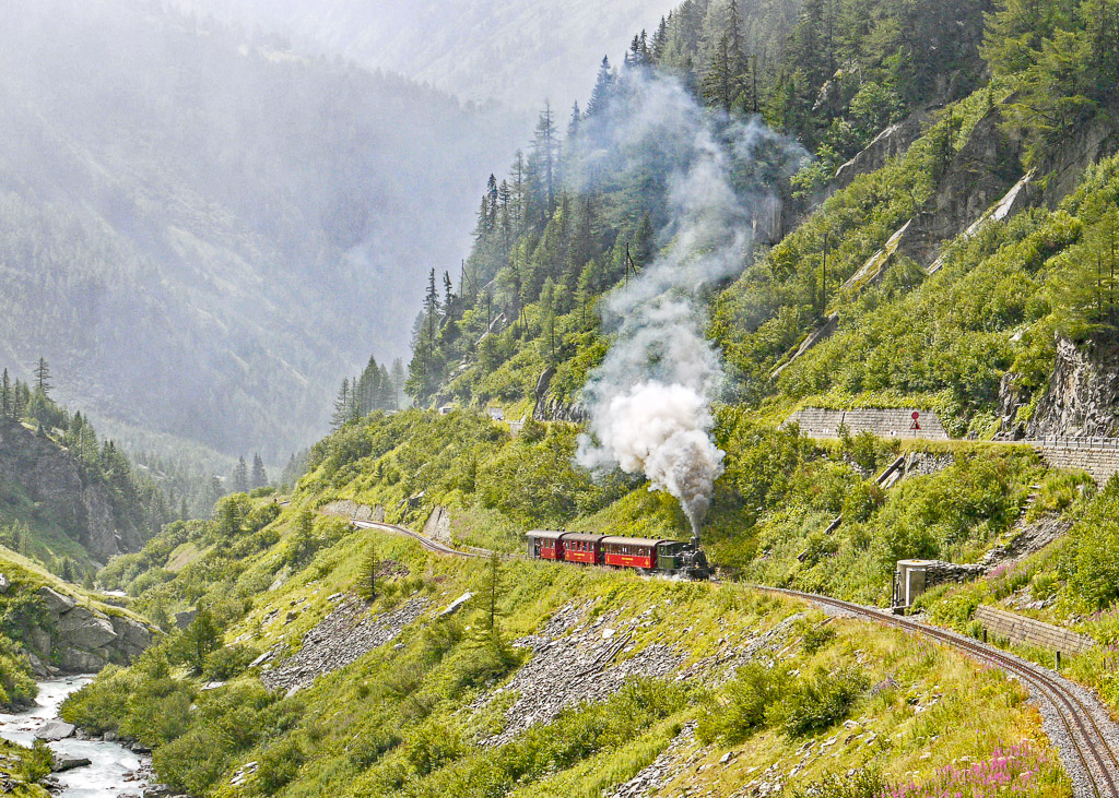 train in nature, switzerland