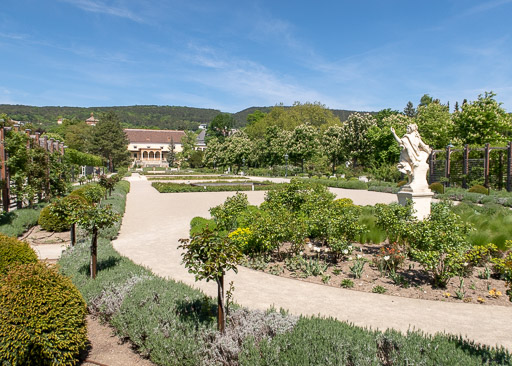 Rosarium, Baden bei Wien, Austria, by Travel After 5